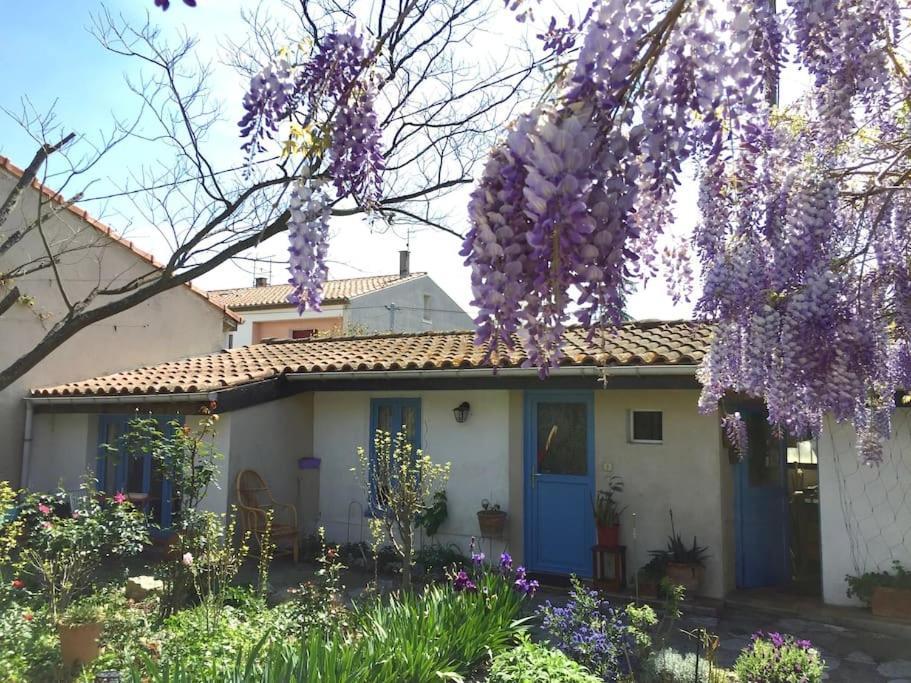 La Campagne Dans La Ville 纳博讷 外观 照片
